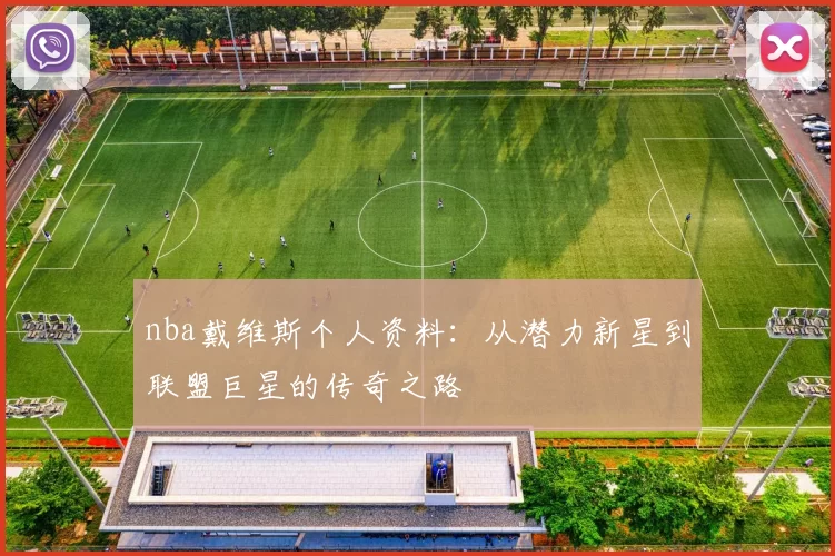 nba戴维斯个人资料：从潜力新星到联盟巨星的传奇之路